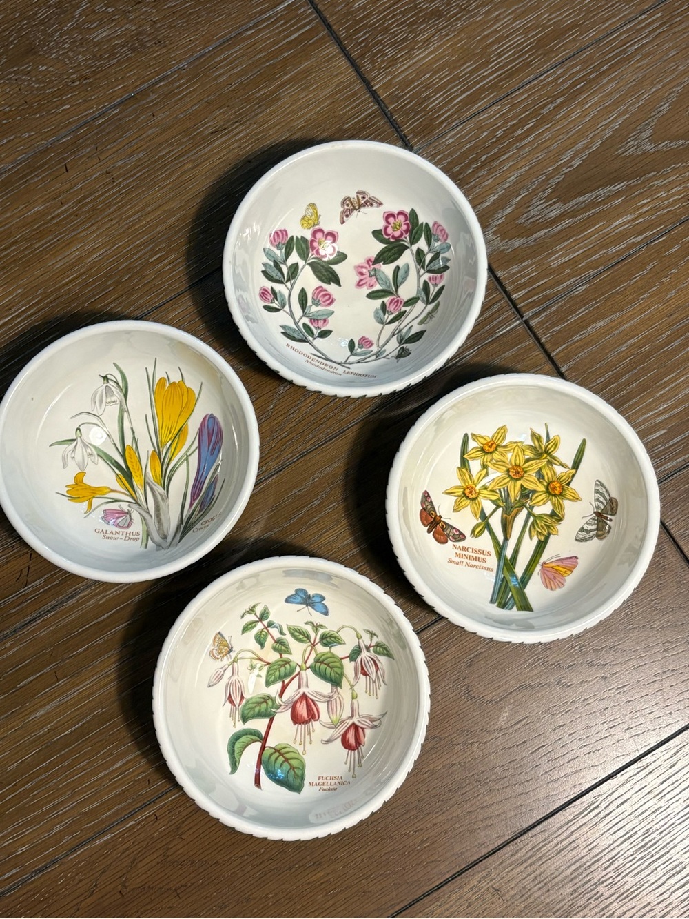 Vintage Portmeirion Botanical Garden Bowls (set of 4) 5 3/8” Wide & 2 1/2” Tall